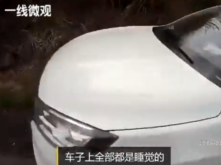 QQ截图20190212172625.png