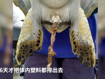 微信截图_20190514104004.png