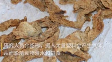 微信截图_20190514104057.png