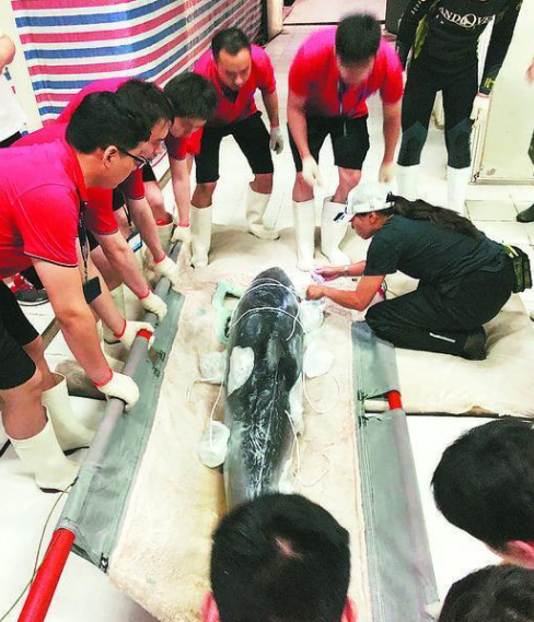 微信截图_20190724110510.png
