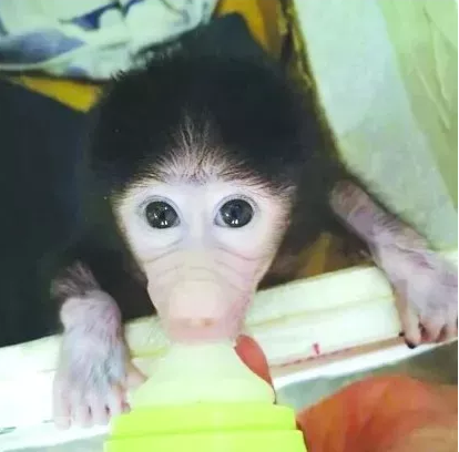 微信截图_20190901090751.png