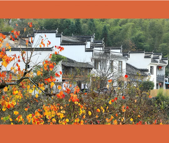 微信图片_201910231313511.png