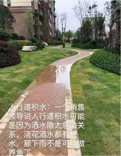 微信图片_201911151359362.png