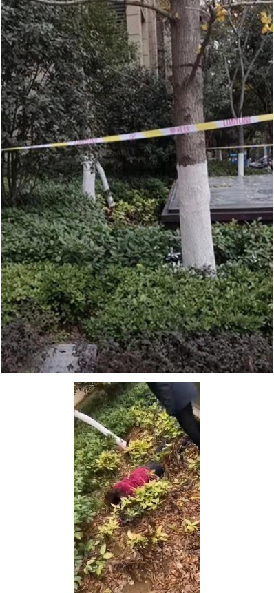 微信图片_20191224104923.png