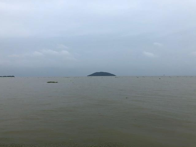 QQ截图20200725211409.png