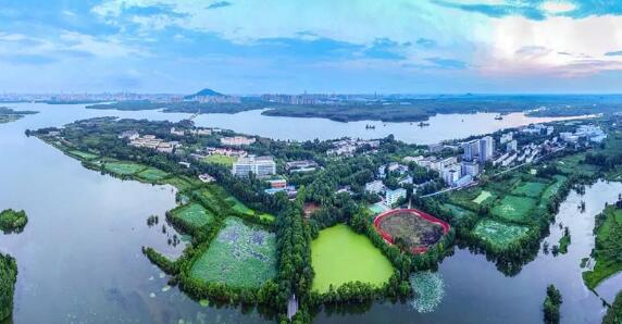 QQ截图20201116092529.jpg