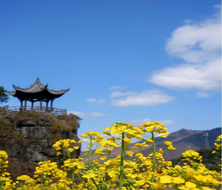 QQ截图20210312111237.jpg