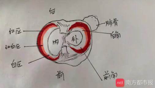 1615617570936801.jpg QQ截图20210313143816.jpg